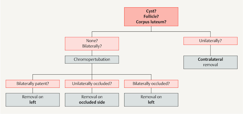 Fig. 1