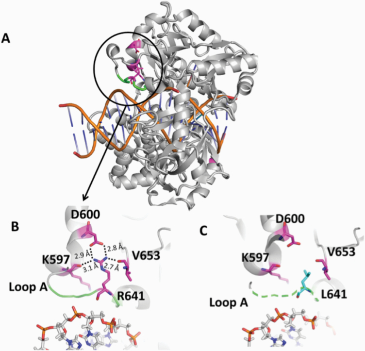 Figure 7.