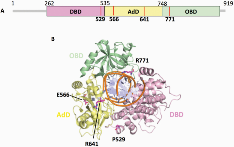 Figure 5.