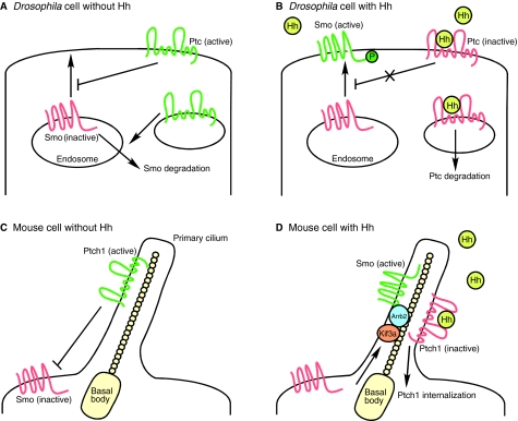 Fig. 2.