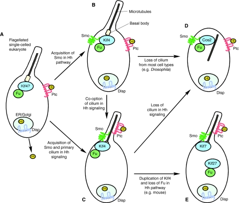 Fig. 6.