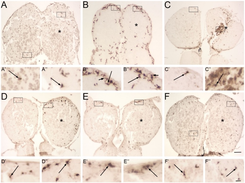 Fig. 7