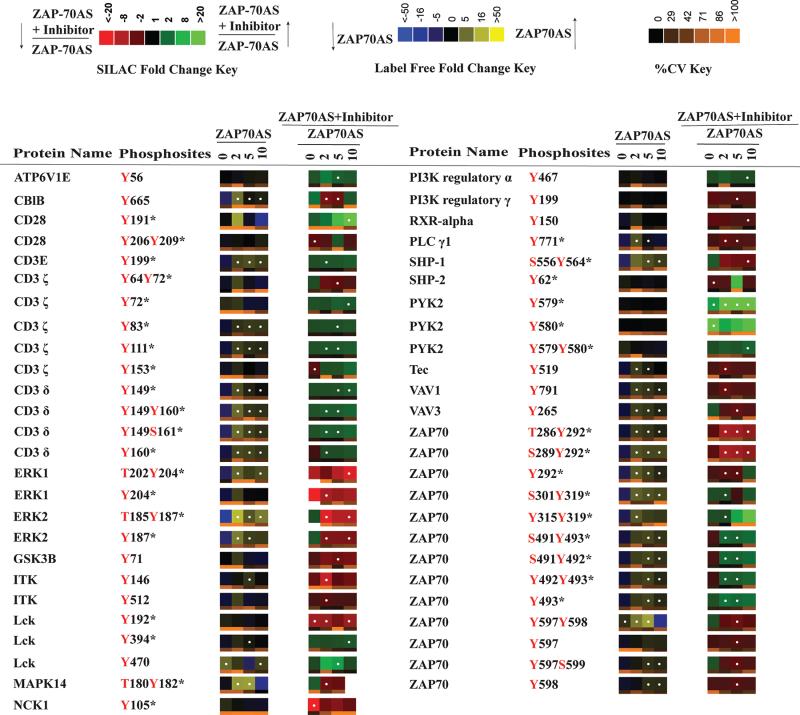 graphic file with name nihms-687589-f0007.jpg