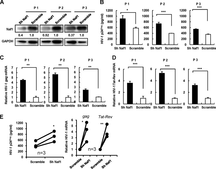 FIG 6