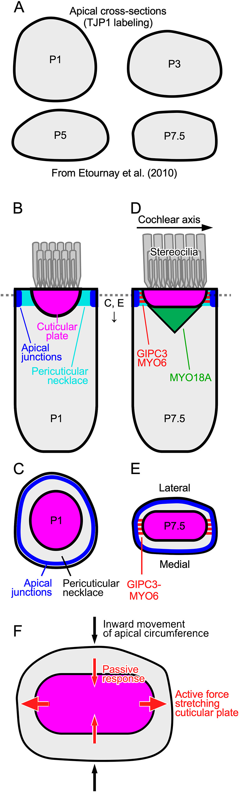 Fig. 8.