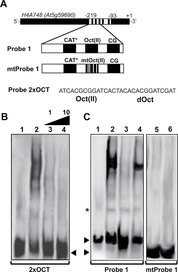 Figure 7.