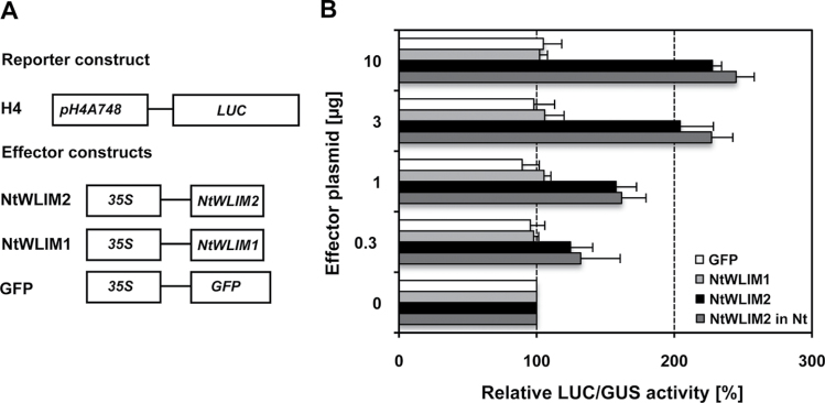 Figure 5.