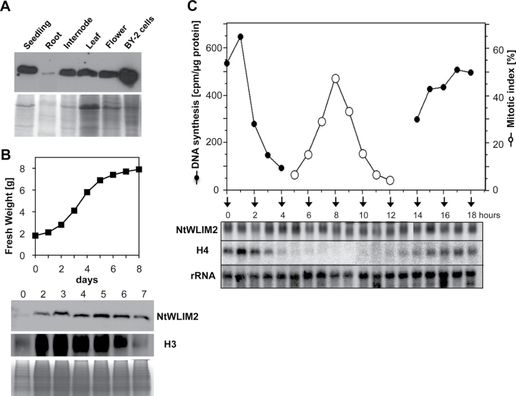 Figure 9.