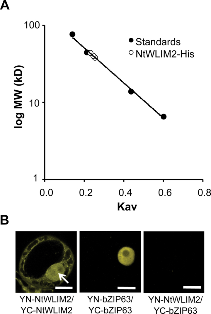 Figure 3.