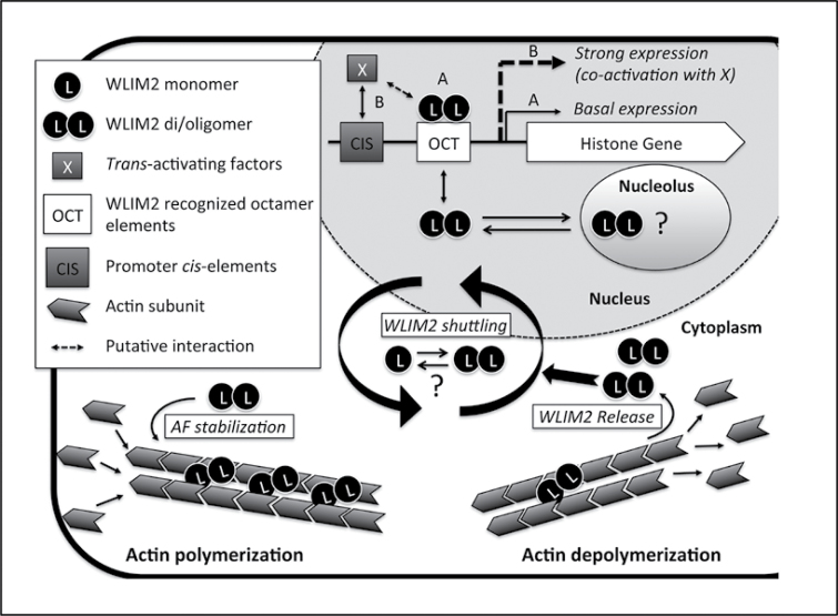 Figure 10.