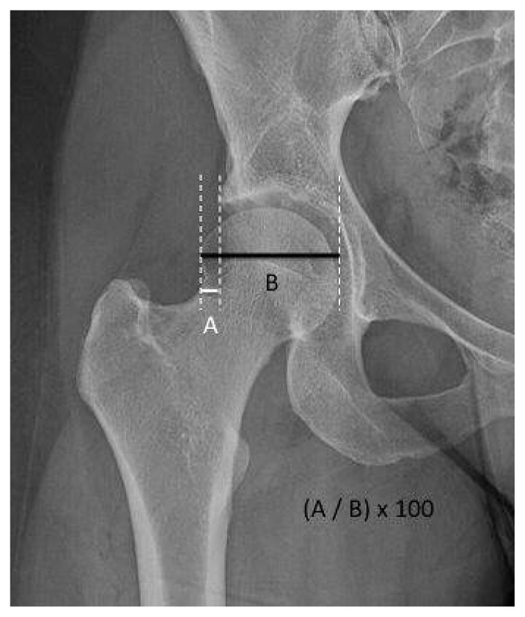 Figure 10