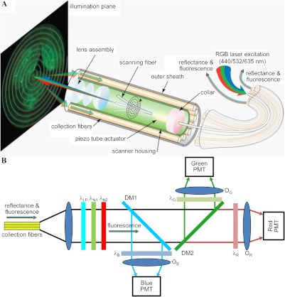 Fig. 1