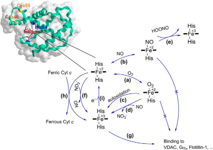 FIGURE 1.