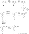 Scheme 12
