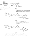 Scheme 3