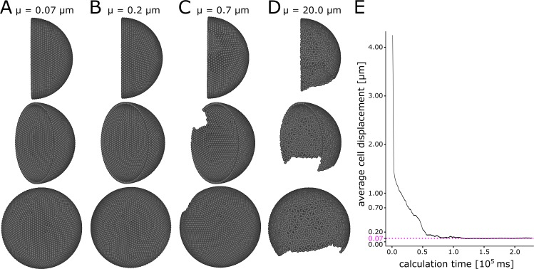 Appendix 1—figure 1.