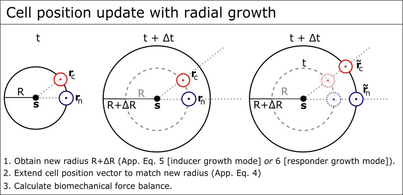 Figure 2—figure supplement 2.