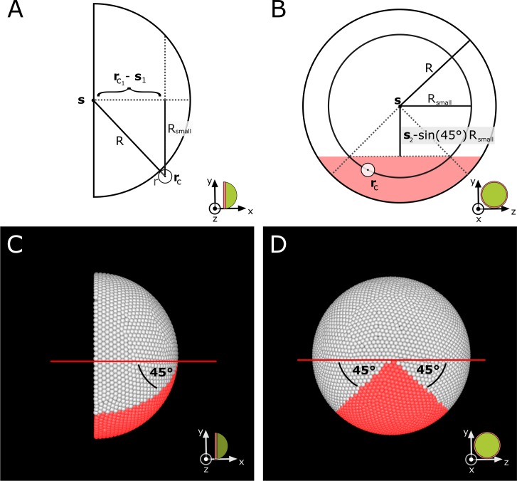 Figure 6—figure supplement 2.