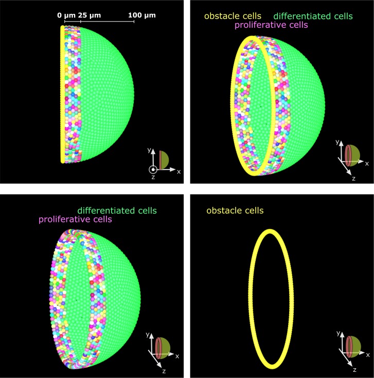 Figure 2—figure supplement 3.