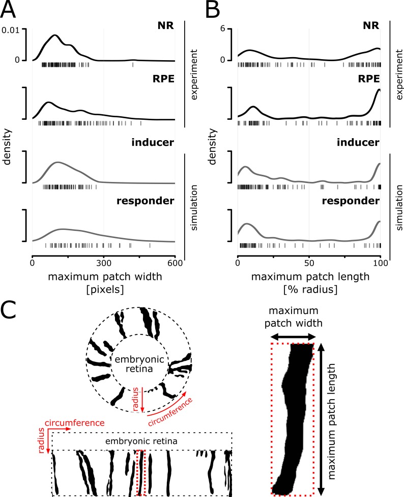 Figure 3—figure supplement 2.