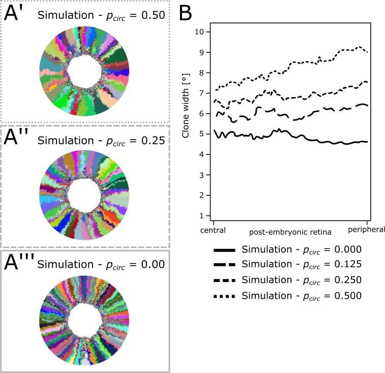 Figure 5—figure supplement 1.