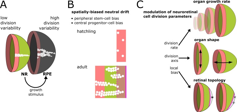 Figure 7.