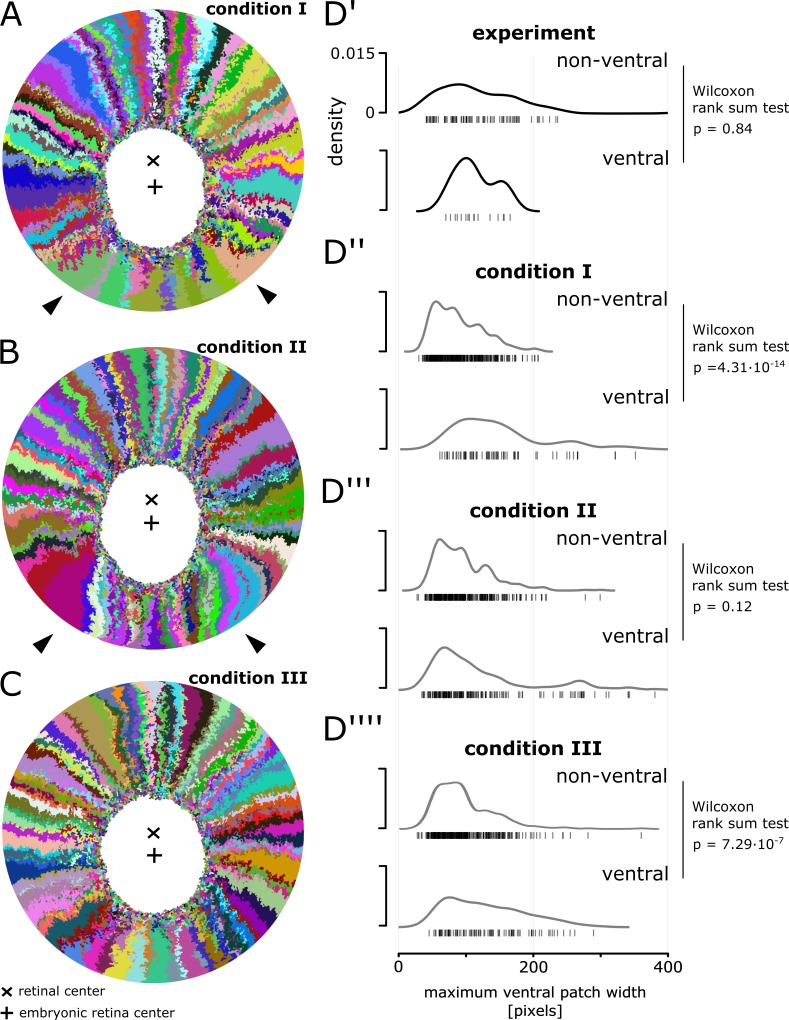 Figure 6—figure supplement 1.