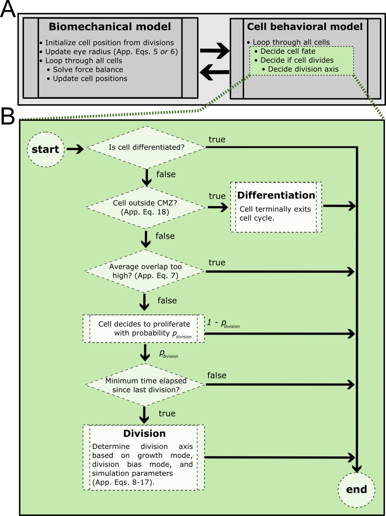 Figure 2—figure supplement 1.