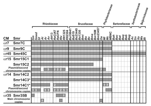 graphic file with name rna-9-119-g3.jpg