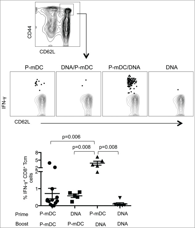 Figure 5.