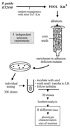 FIG. 1