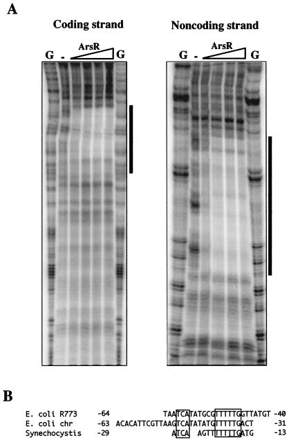 FIG. 5.