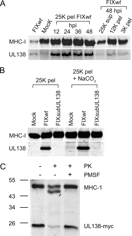 FIG. 9.