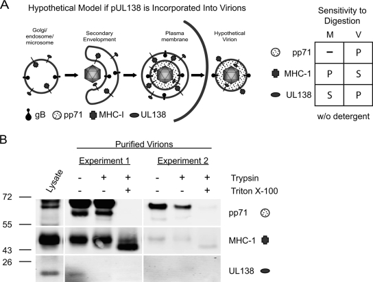 FIG. 10.