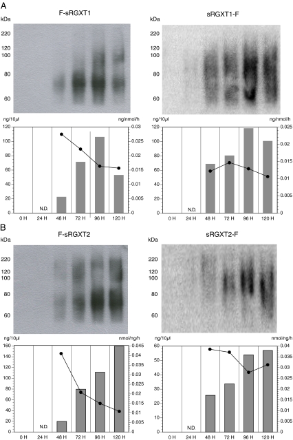 Fig. 2