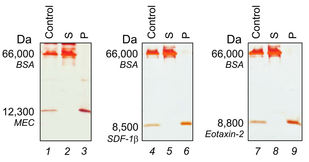 Fig (3)