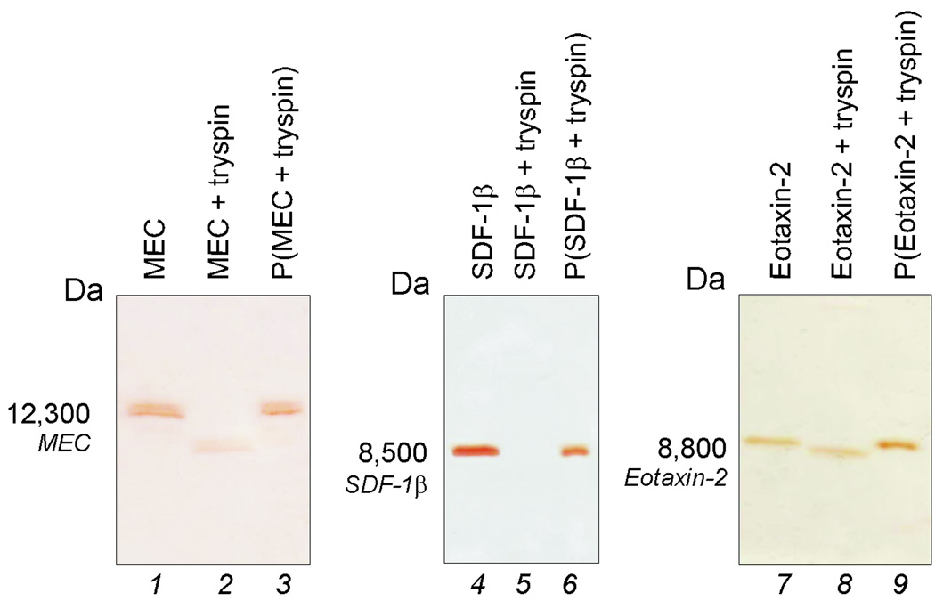 Fig (4)