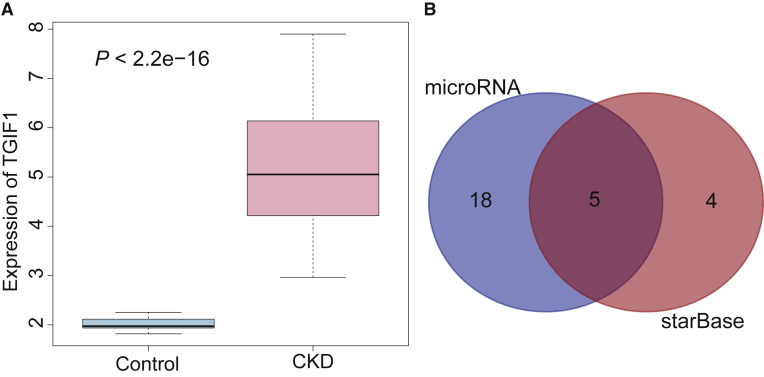 Figure 1