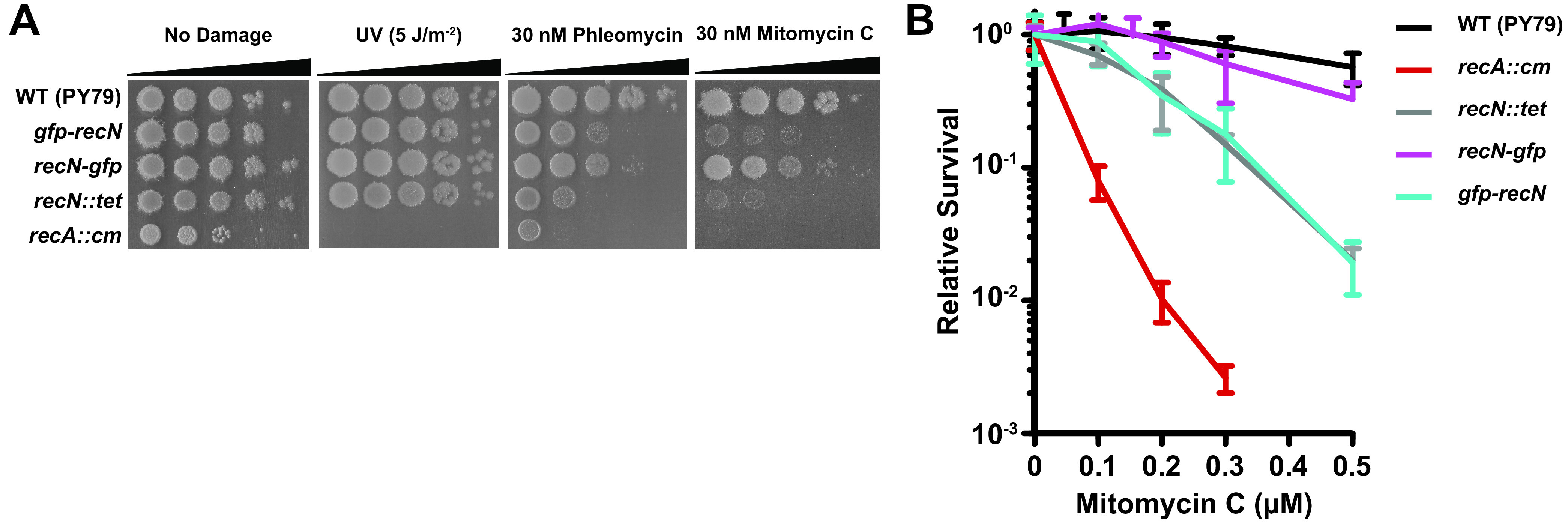 FIG 2