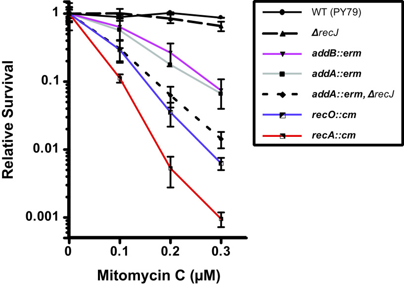 FIG 1