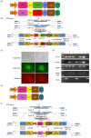 Fig. 3