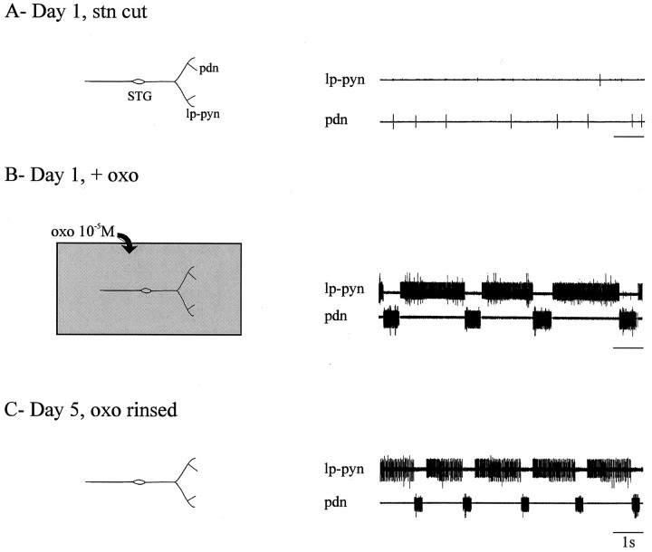 Fig. 11.