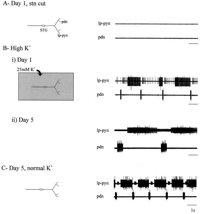 Fig. 10.