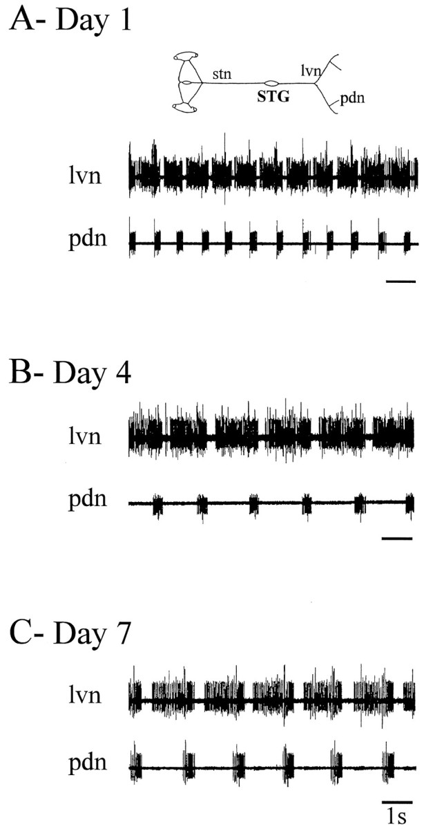 Fig. 2.