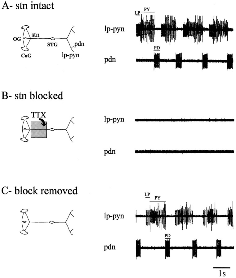 Fig. 1.