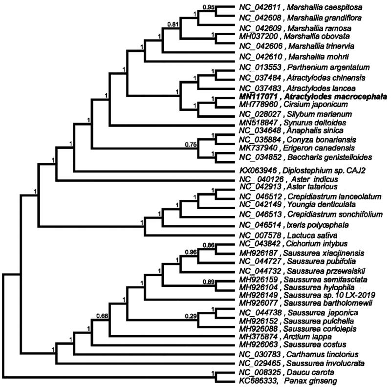 Figure 1.