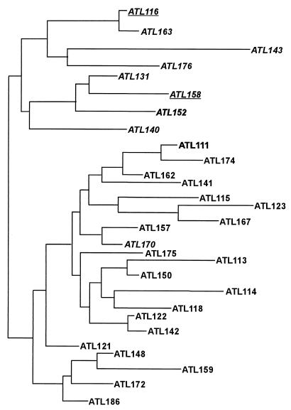 FIG. 5