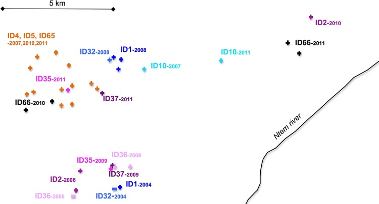 Fig 3