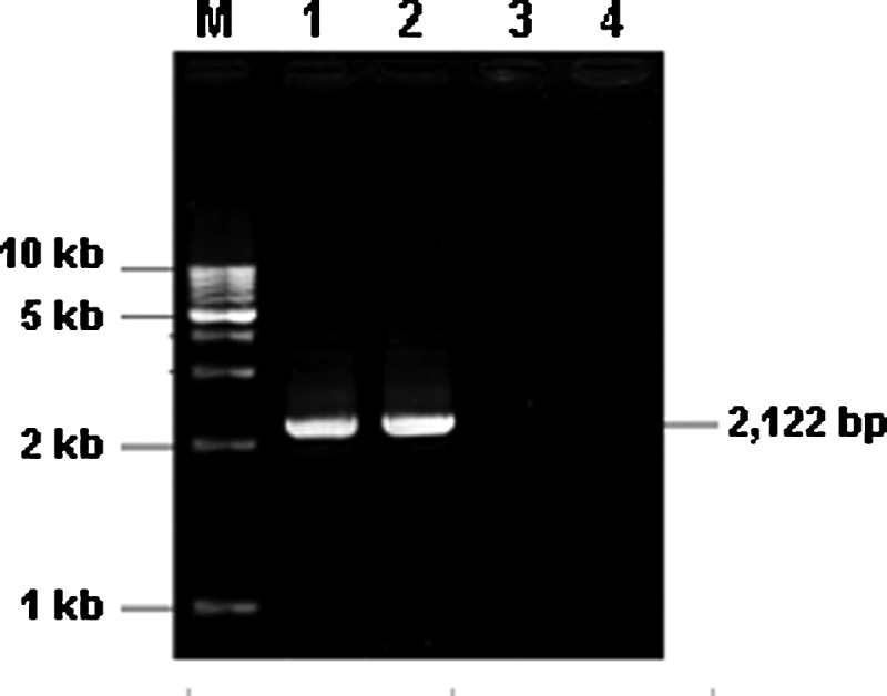 FIG. 4.