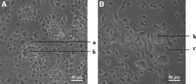 FIG. 7.